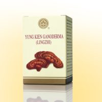 YK_Ganoderma_id